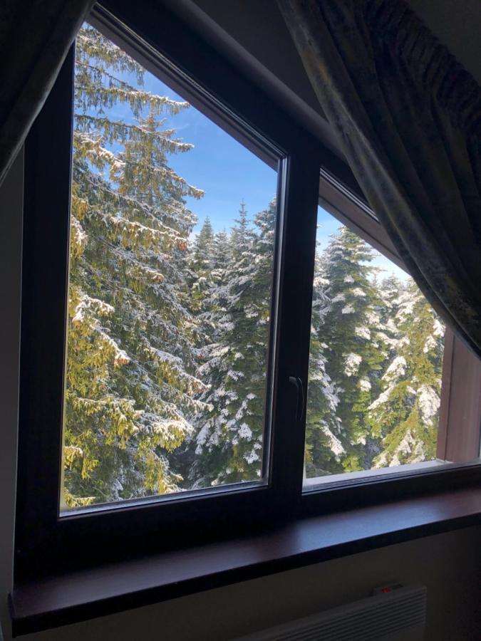 Borovets Forest View Exteriör bild